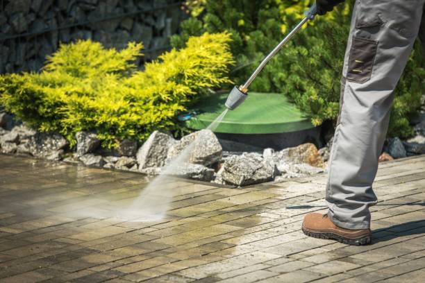 Best Animal Enclosure Cleaning  in Savannah, GA