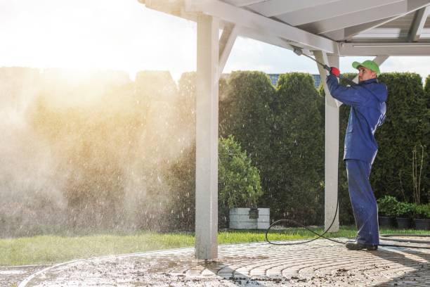 Best Sidewalk and Walkway Cleaning  in Savannah, GA