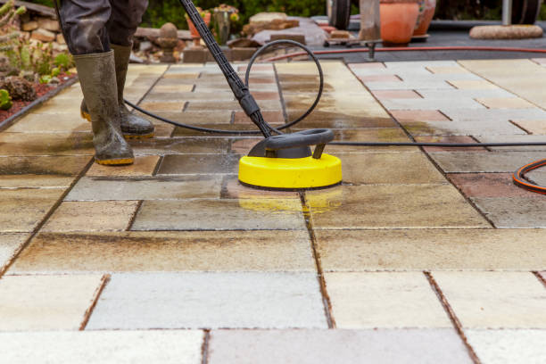 Best Roof Washing  in Savannah, GA